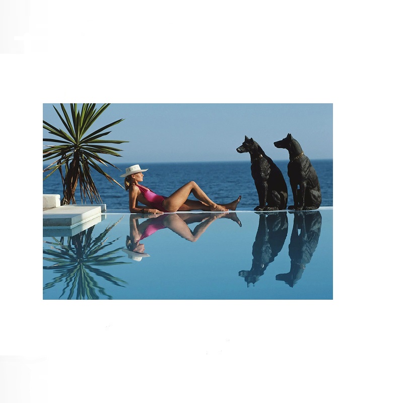 Retro Poolside Host Luxury Lif - Luxury Lifestyle Pictures ulasan dan harga